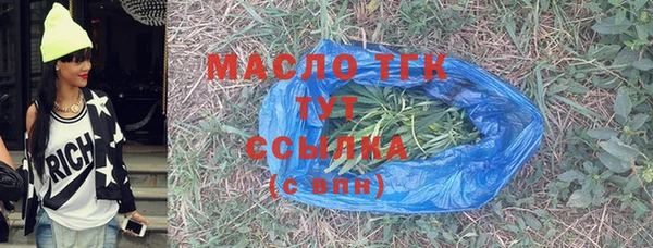 скорость Вяземский