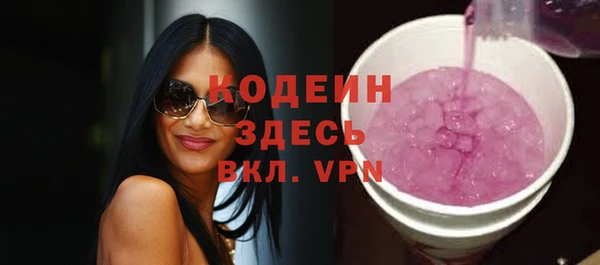 скорость Вяземский