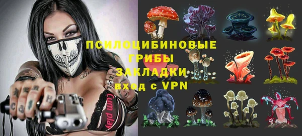 apvp Володарск