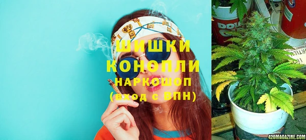скорость Вяземский