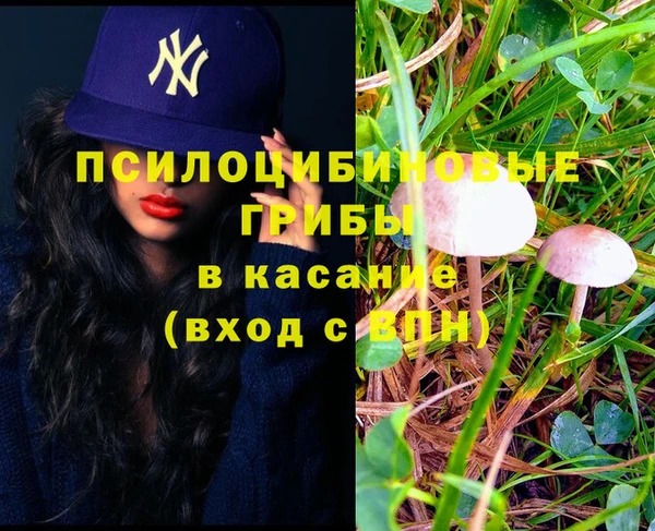 скорость Вяземский