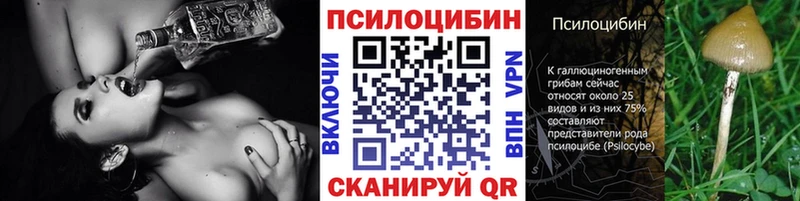 Псилоцибиновые грибы Magic Shrooms Киселёвск