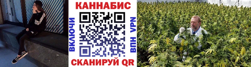 Каннабис индика Киселёвск